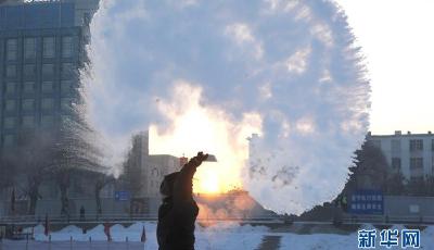 冷！哈爾濱“潑水成冰” 企鵝都在戶外玩耍了