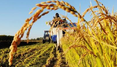 中央一號文件：以發展新理念破解“三農”新難題