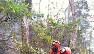 格里拉發生森林火災 撲救人員1死6傷明火已撲滅