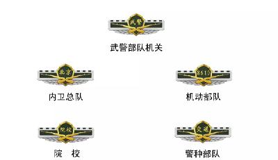 武警部隊更換新式標志服飾 新式臂章有五點不同