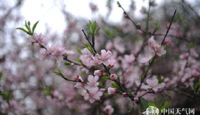 全國回暖勢不可擋 華北等地或遭霧霾