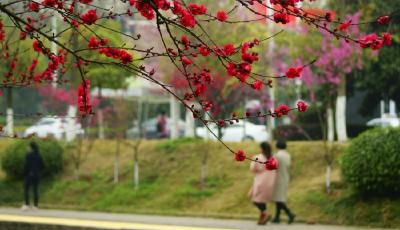 最新中國虛假大學警示榜發布 專家建議司法監管