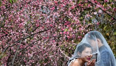 2016年31省最新婚假出爐 11省婚假僅為3天