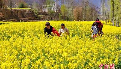 未來三天北方氣溫偏高同期少見 江南局地將有大雨