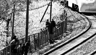 鐵路部門否認“賞花者逼停列車” 確有危險行為