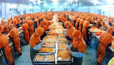 2020年青島農(nóng)產(chǎn)品加工業(yè)產(chǎn)值將突破9000億元