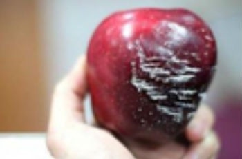 吃了“打蠟蘋果”會不會致癌？專家稱傳言不實(shí)