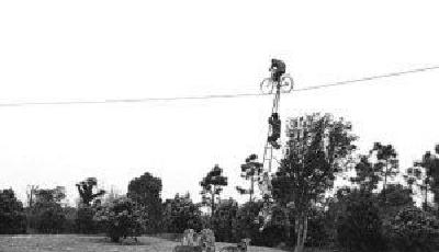 三歲女童“虎口”走鋼絲 腳下有6只老虎(圖)