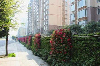 住建部：打開封閉小區(qū)是“開門”不是“拆墻”