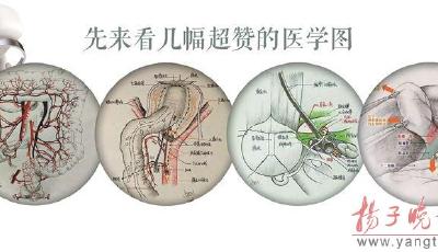 才學并贊！80后外科醫生手繪解剖圖走紅（圖）