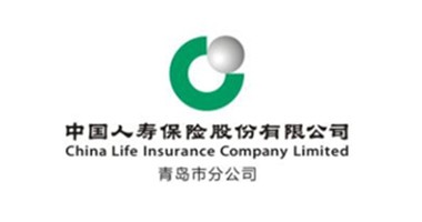 中国人寿青岛分公司——学平险e化项目