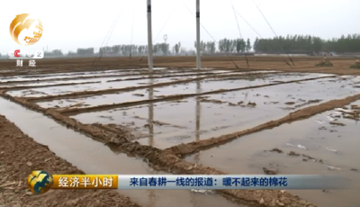 央視調(diào)查：農(nóng)民辛苦大半年一畝棉花才掙400元