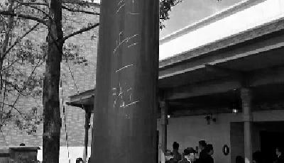 上海迪士尼小鎮(zhèn)被刻到此一游 試營(yíng)運(yùn)不到1周