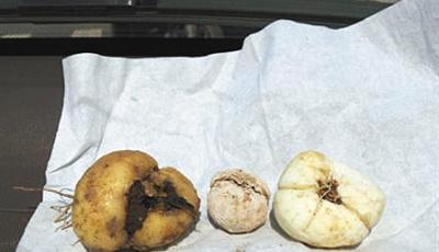 多種常見止咳藥被檢出硫磺 涉及企業(yè)均未回應(yīng)