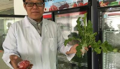 蔬果農(nóng)藥殘留降解及保鮮科技新成果在青發(fā)布