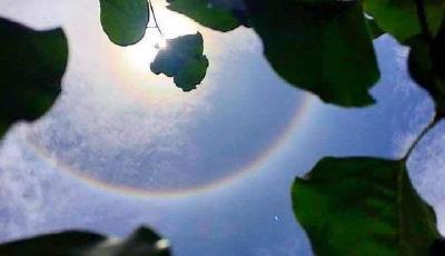 陜西漢中現罕見“日暈”景象 太陽自帶“光環”
