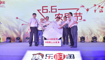 “6月6農民節”助力農村扶貧 集市上網農民“進城”