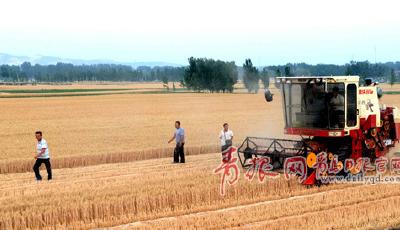平度入圍全國“超級產糧大縣” 獲獎勵8047萬