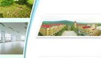 来39中新校探索海洋与艺术奥妙