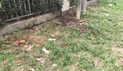 19歲女子無錢在家生子 母嬰雙亡被男友掩埋