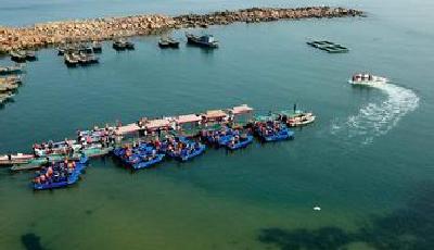 青島將組建聯(lián)合實驗室 發(fā)展深藍(lán)漁業(yè)豐富餐桌