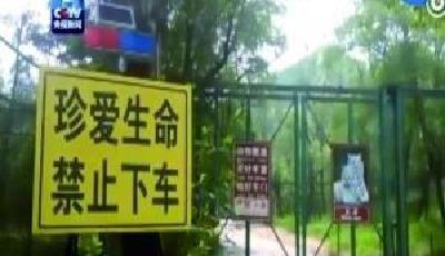 被老虎咬傷游客脫離危險 親友：誤認為已出虎園