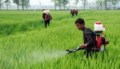 “雙低”農藥推廣現“平度模式” 增產增收明顯