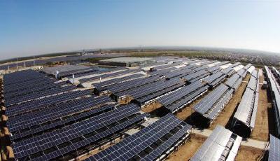 青企光伏農業造血式精準扶貧揚威寧夏