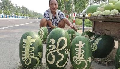 河南農民西瓜上寫書法成“網紅”11天賣6000斤