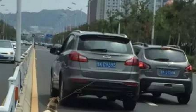 威海男子虐狗刷爆朋友圈 網友：“人肉”他