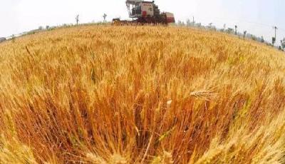 今年夏天快被熱哭了？今年冬天可能還會冷哭