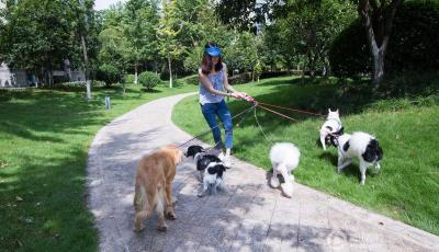 90后女大學生做奇葩兼職月入過萬 遛狗談心賺錢