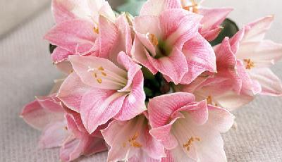 七夕大數據：九成送花人未婚 已婚男喜送小家電