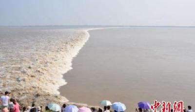 錢塘江觀潮節蓄勢待發 潮城海寧奏響澎湃樂章