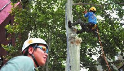 西北大學開設爬樹課程：女生比男生選的多(圖)