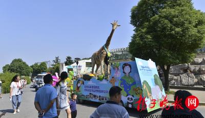 長頸鹿因亂投喂致死 被制成標本警示游客