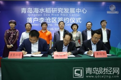 青岛国际院士港：打造国际一流、世界首创院士园区