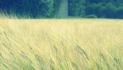 兩大國字號創客空間達成合作 共建農業服務平臺