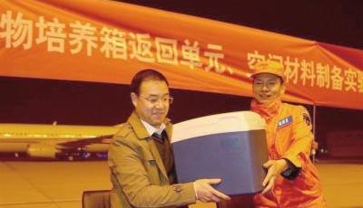 天宮二號部分實驗樣品成功回收 太空種子開花