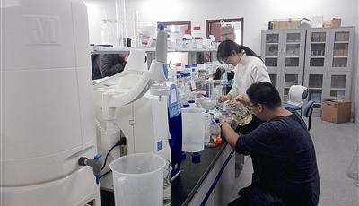 山东大学青岛校区： 高端人才集聚和高新成果转化高地 