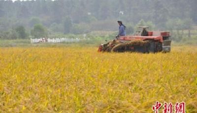 發改委：確保實現2020年農民人均收入比2010年翻番