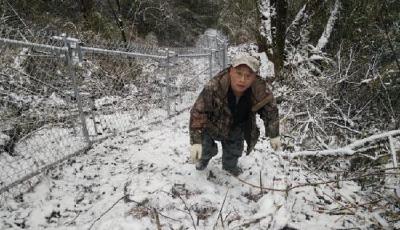 野化大熊貓護(hù)子心切 撲倒飼養(yǎng)員將其咬成重傷