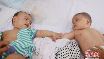 “全面兩孩”實施滿一年 哪些問題你最關心？