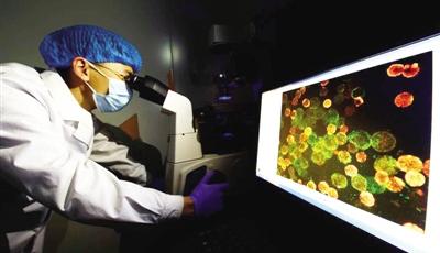 寨卡診斷試劑研制成功 分發(fā)各省份與重要口岸