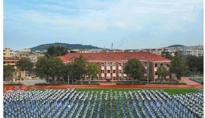 卧薪尝胆固基石 凤凰展翅再冲天 