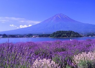 春節(jié)假日前四天全國(guó)旅游接待總?cè)藬?shù)累計(jì)超2.5億人次