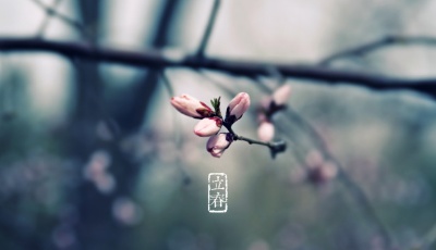 天文專家：今年立春準確時間為2月3日23時34分