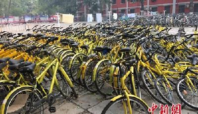 刷新漆、偷車座…… 或有超萬輛共享單車受損