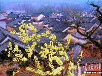 湖南永州零陵發(fā)現(xiàn)明清時期古建筑群