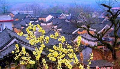 湖南永州零陵發(fā)現(xiàn)明清時(shí)期古建筑群